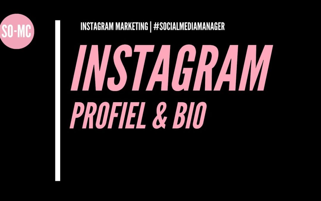 Modulo 3. Profilo Instagram e biografia |  Corso Instagram GRATUITO