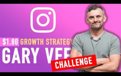 Provare la strategia di crescita Instagram da $ 1,80 di Gary Vee